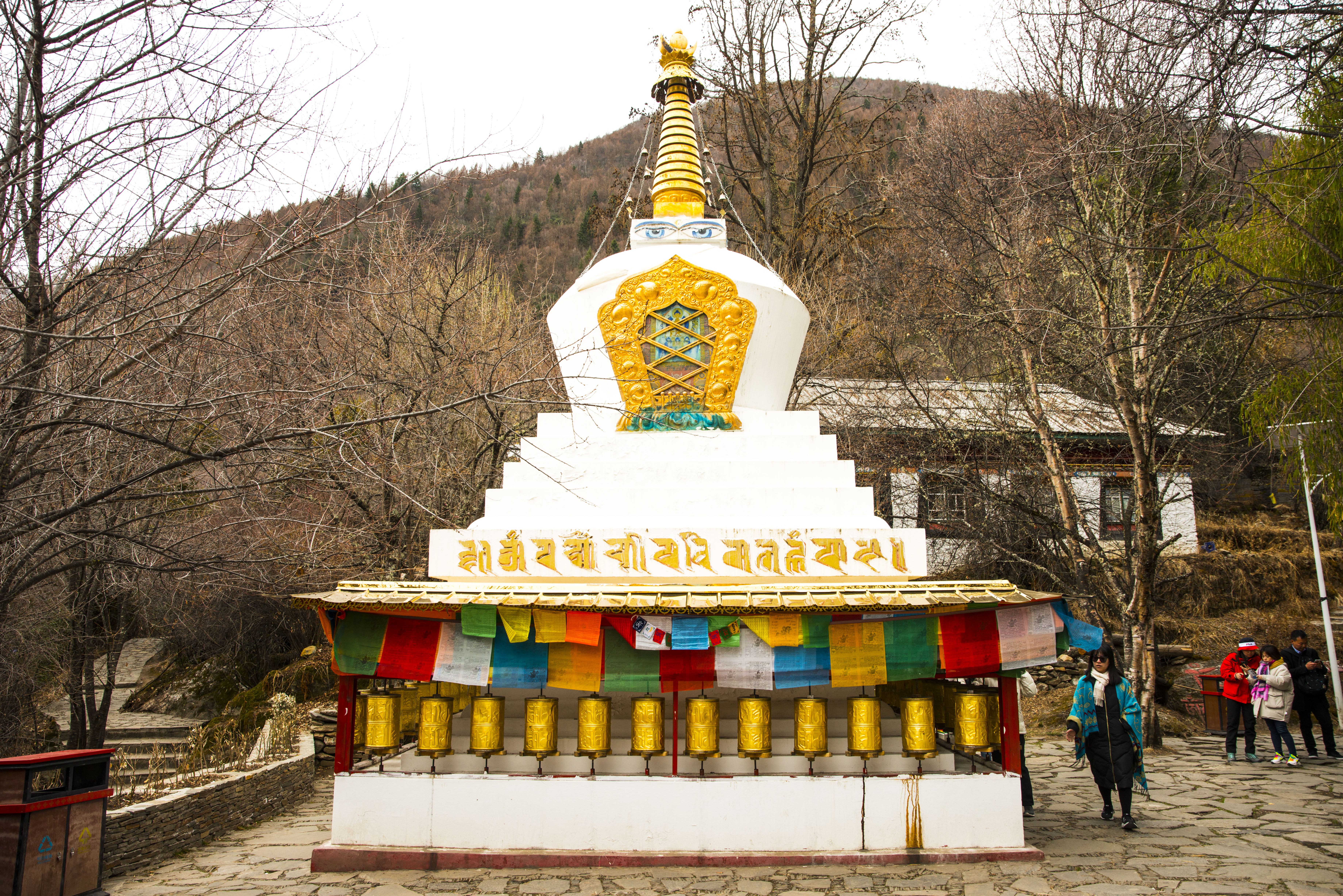 春节去西藏旅游需要提前准备什么?